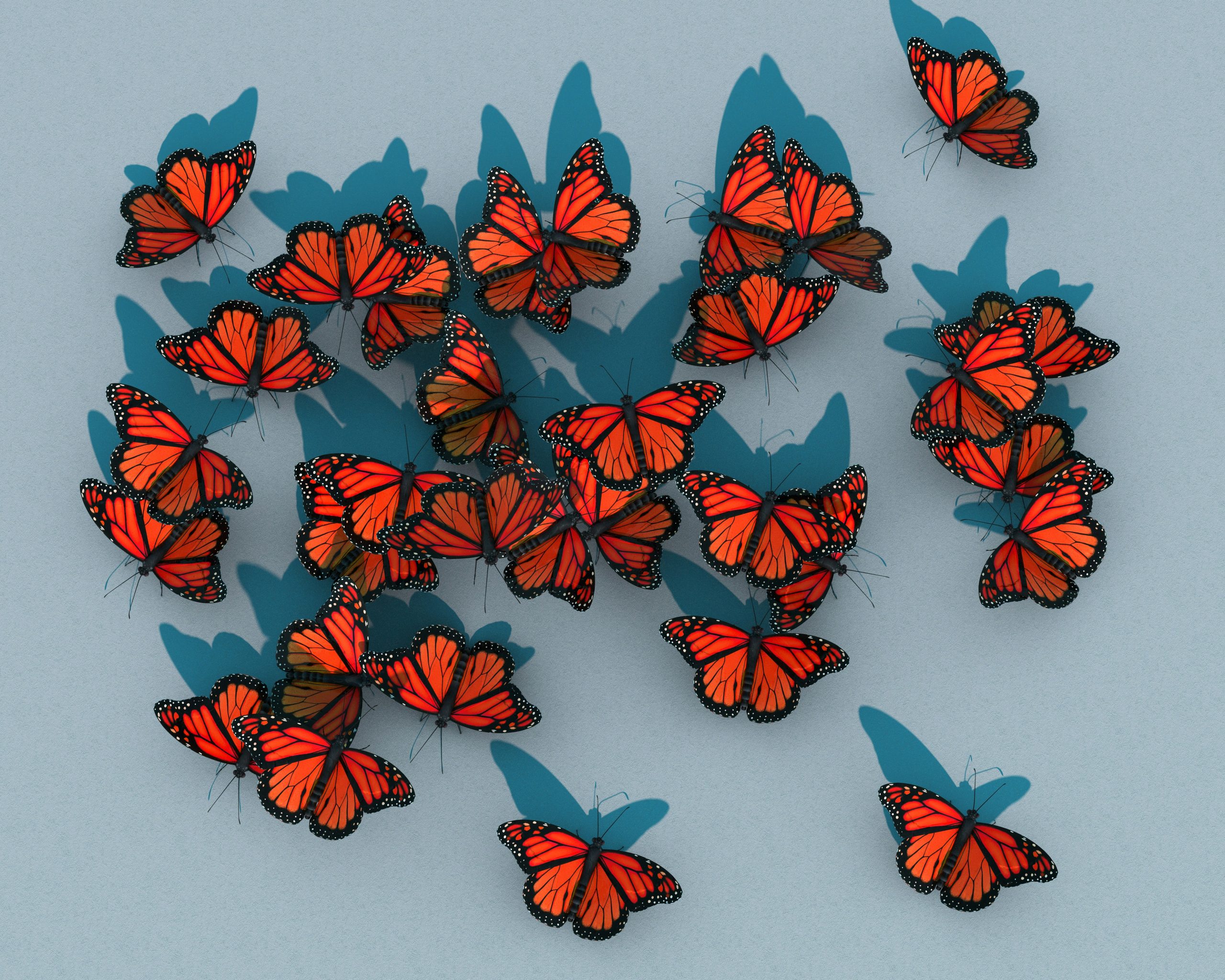 image -RedButterflies